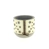 C.POT ETOILE AVEC LACAGE 013.5 H12CM les 4P