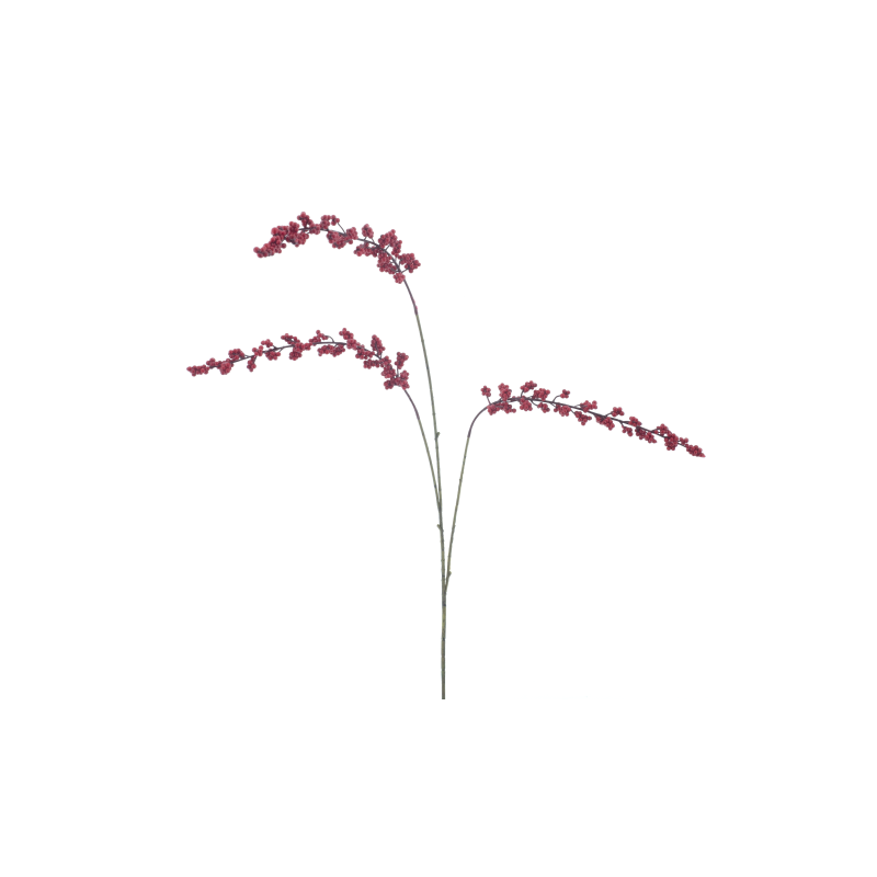 BRANCHE DE BAIE ROUGE 110CM les 6P