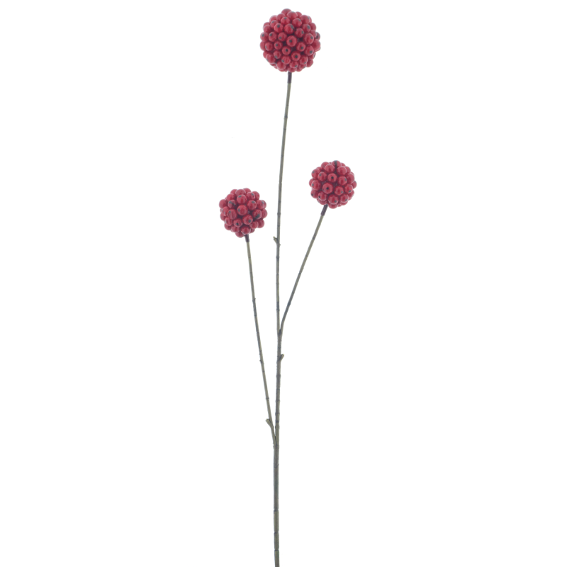 BRANCHE DE BAIE ROUGE BOULE 81CM les 6P