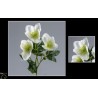BOUQUET HELEBORE 4 fleurs H62CM les 12P