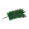 VERDISSIMO-FOUGERE PARCHEMIN VERT les 10P