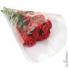 CONE NEUTRE 60X35X10CM / 50P