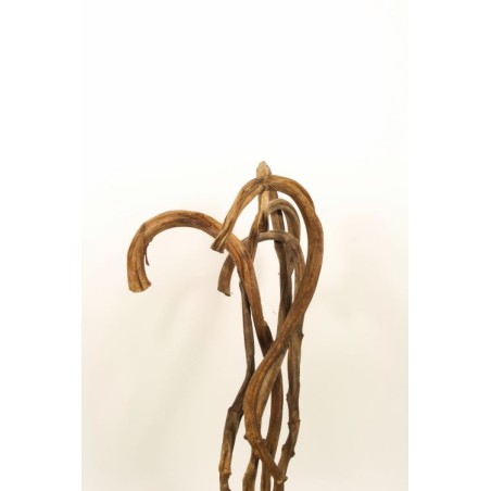 BRANCHE DE BANANE naturel / 5 PIECES