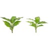 FEUILLE DIEFFENBACHIA H25CM la pièce
