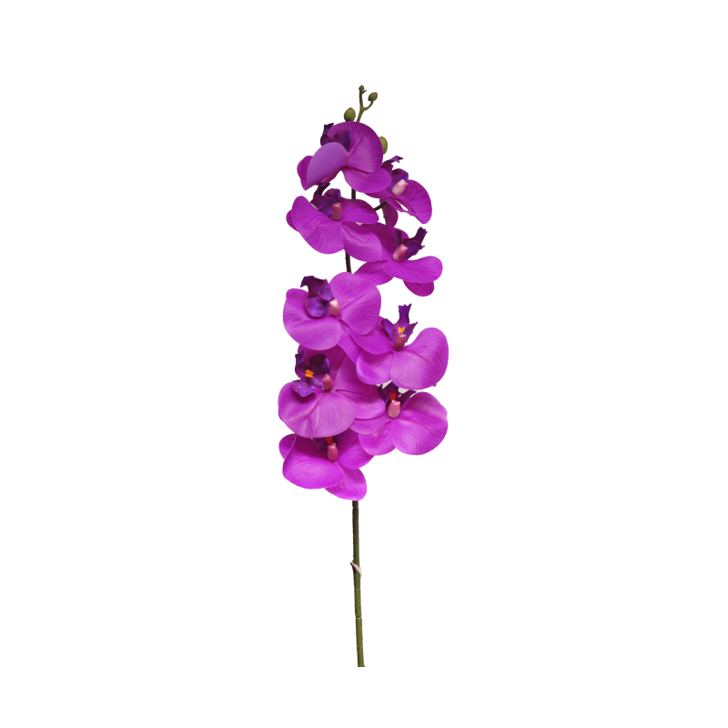 FLEUR PHALAENOPSIS BORA 108CM à la pièce