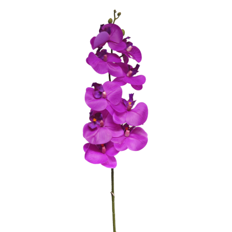 FLEUR PHALAENOPSIS BORA 108CM à la pièce
