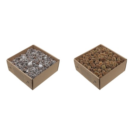 FRUIT SEC "CASURINA" boite 430GR 