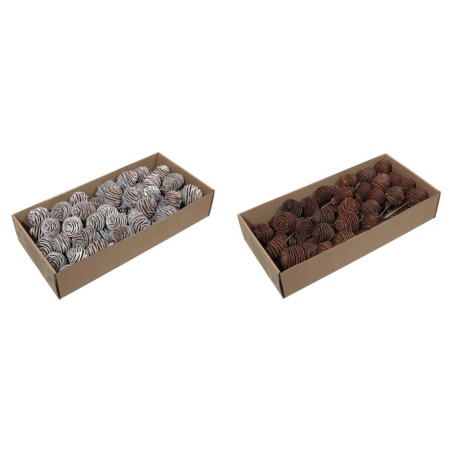 FRUIT SEC" PLATYSPERMUM" boite 55P