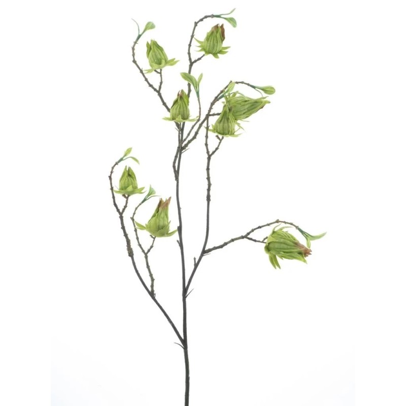 FLEUR PHYSALIS SAUVAGE 75CM à la pièce