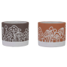 C.POT CHAMPIGNON couleurs 011 H09CM les 8P