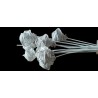 LATA TORCHE sac 10P