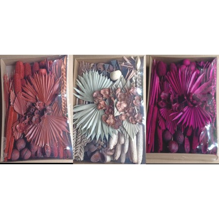 EXOTIQUE assortiment SECHE / BOITE
