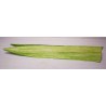 PETALE 'LILY" H25CM sac de 50 pièces