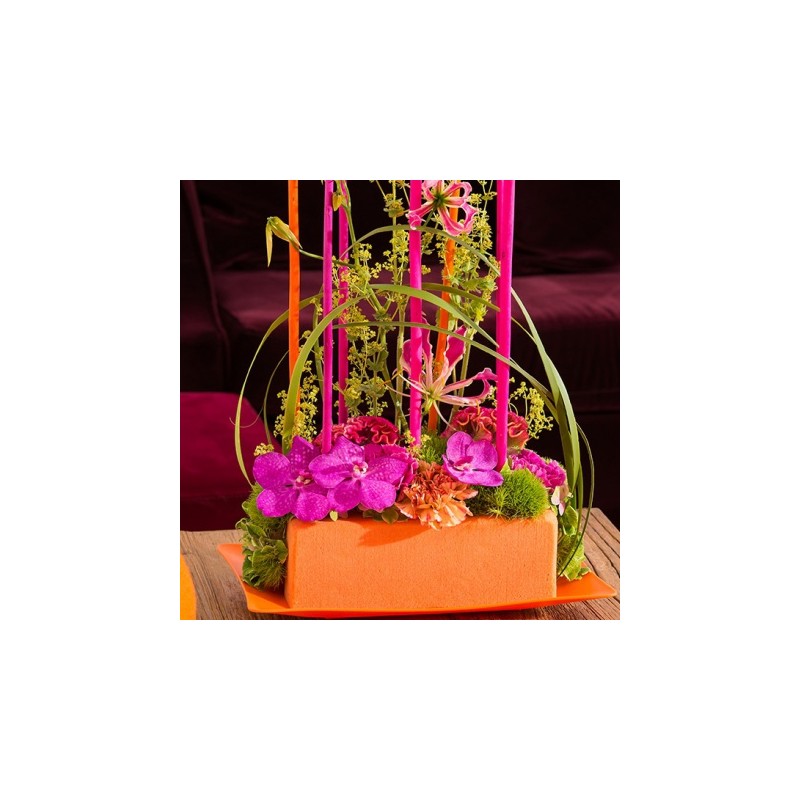 MOUSSE COULEUR OASIS BRIQUE 23X11X8/ 4p