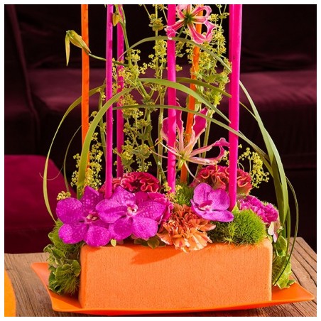 MOUSSE COULEUR OASIS BRIQUE 23X11X8/ 4p