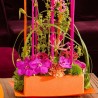 MOUSSE COULEUR OASIS BRIQUE 23X11X8/ 4p