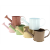 ZINC-ARROSOIR couleur 010CM à la pièce