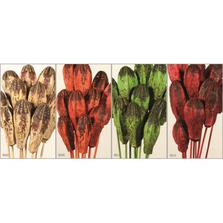 FAGOT MEHOGNI GAMBATO H45CM /10P