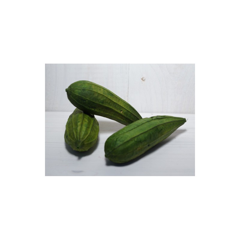 FAGOT MINI FRUIT 8/12CM /10P