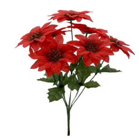 BOUQUET POINSETTIA 7 fleurs /24P