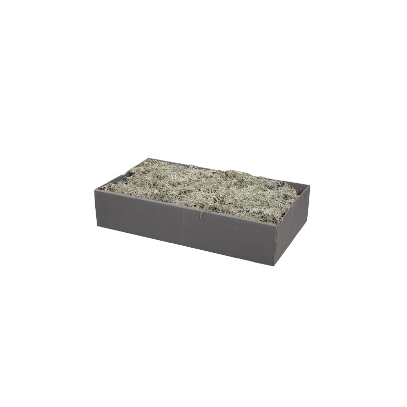 MOUSSE lichen BOITE 500gr