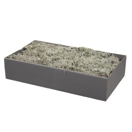 MOUSSE lichen BOITE 500gr
