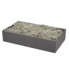 MOUSSE lichen BOITE 500gr