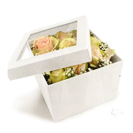 BOITE PANDORE FENETRE CARREE SET 2P