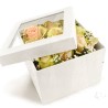BOITE PANDORE FENETRE CARREE SET 2P
