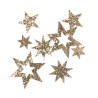 ETOILE OUVERTE PAILLETTEE / 16P