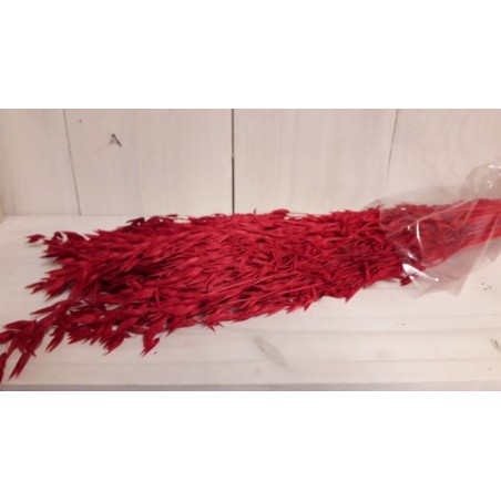 AVOINE COULEUR SAC 150gr