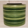 RUBAN ASPIDISTRA 103 X 50M