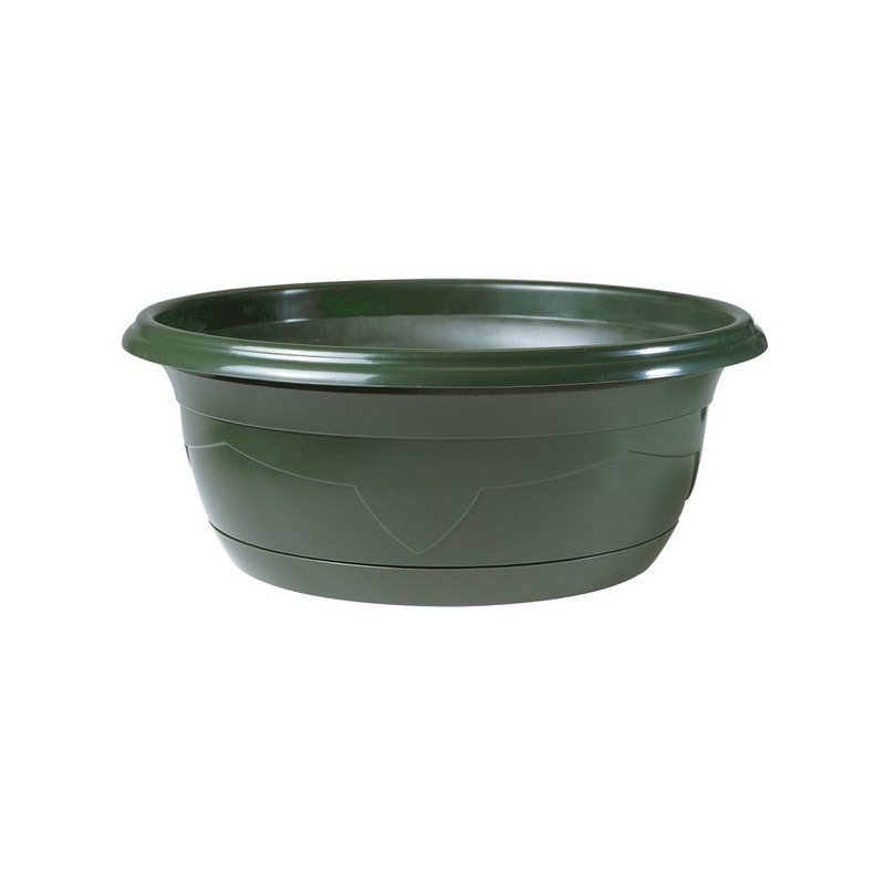 COUPE PLANTE MILLESIA 017 H8.5cm (carton 160P)