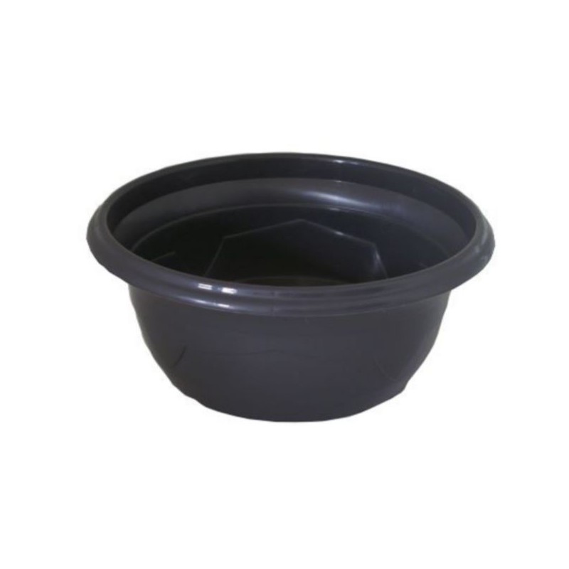 COUPE PLANTE MILLESIA GRISE 046 H17CM filet de 25P