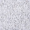 GRAVIER COULEUR 2-3MM 5 LITRES 8Kg