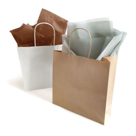 SAC KRAFT 18X08X22 / 50P