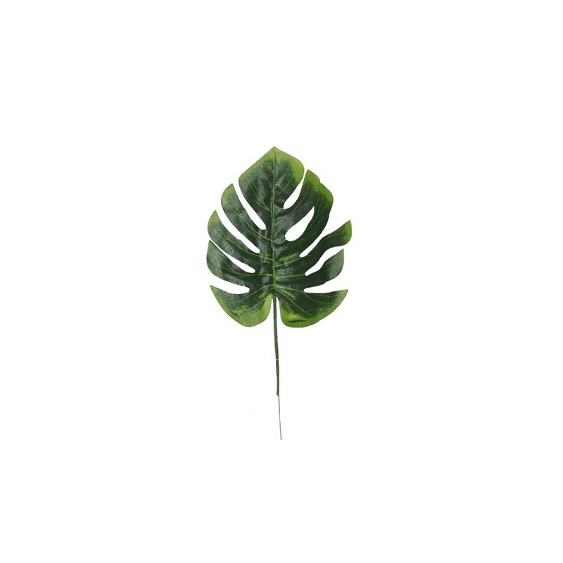FEUILLE DE PHILO H30CM /12P