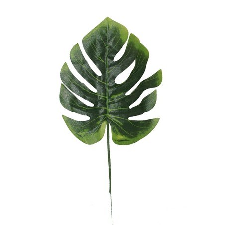 FEUILLE DE PHILO H30CM /12P
