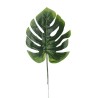 FEUILLE DE PHILO H30CM /12P
