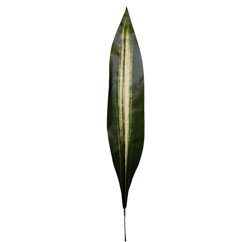 FEUILLE DE DRACENA H65CM les 12P