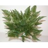 FEUILLE DE FOUGERE H43CM / 12 PIECES