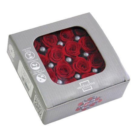 VERDISSIMO-ROSE Princesse 16P
