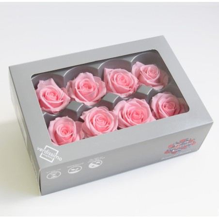 VERDISSIMO-ROSE Milieu 8P