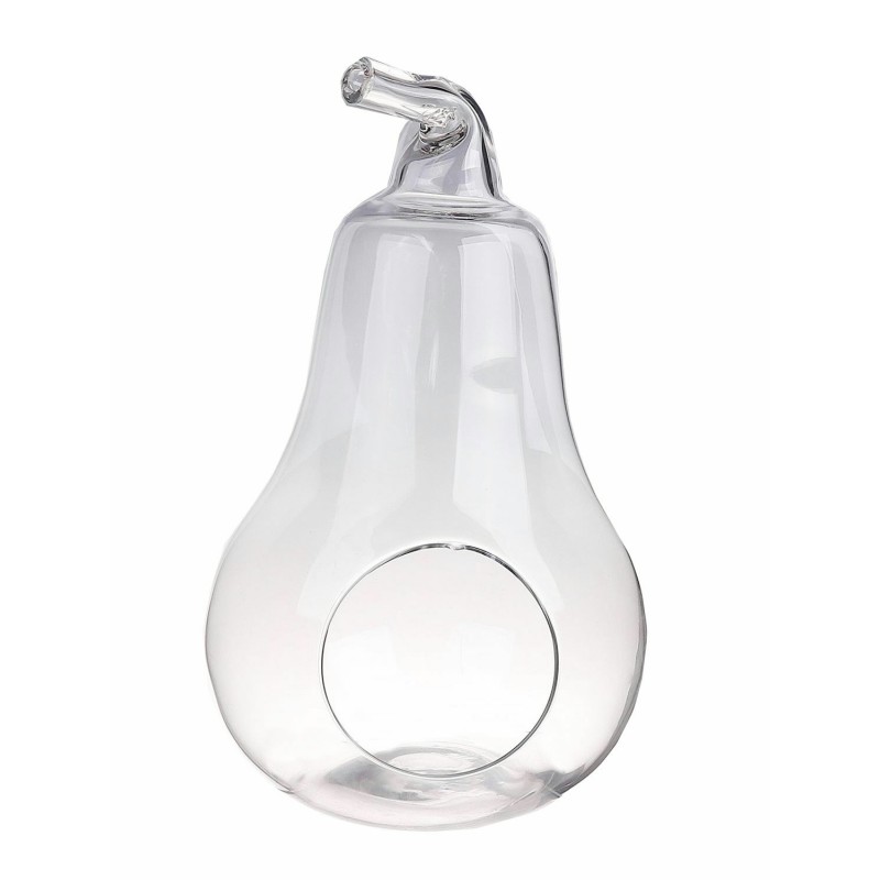 TERRARIUM POIRE Ø21 H36 /3P