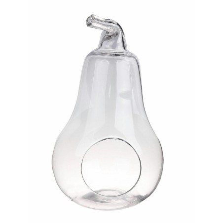 TERRARIUM POIRE Ø21 H36 /3P