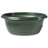 COUPE PLANTE MILLESIA 027 H12cm filet de 25P