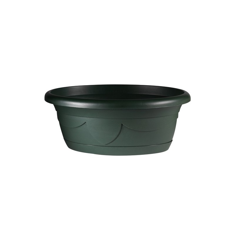 COUPE PLANTE LIZA OVALE 34cm