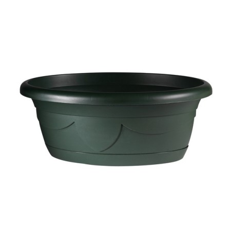 COUPE PLANTE LIZA OVALE 34cm