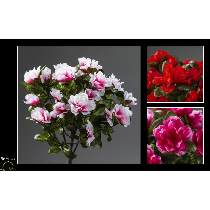 BOUQUET AZALEE H36CM les 12P