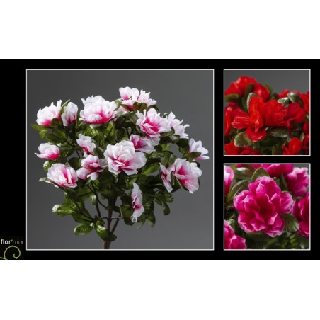 BOUQUET AZALEE H36CM les 12P